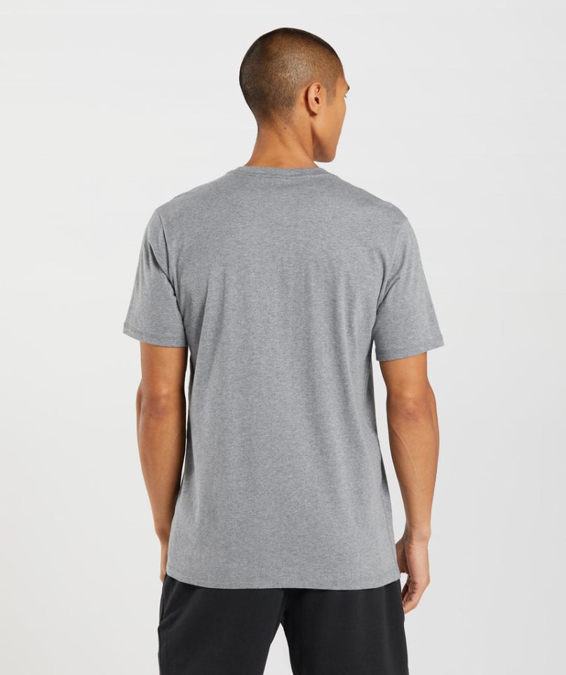 Men's Gymshark Sharkhead Infill T-Shirts Grey | NZ 0MIAOD